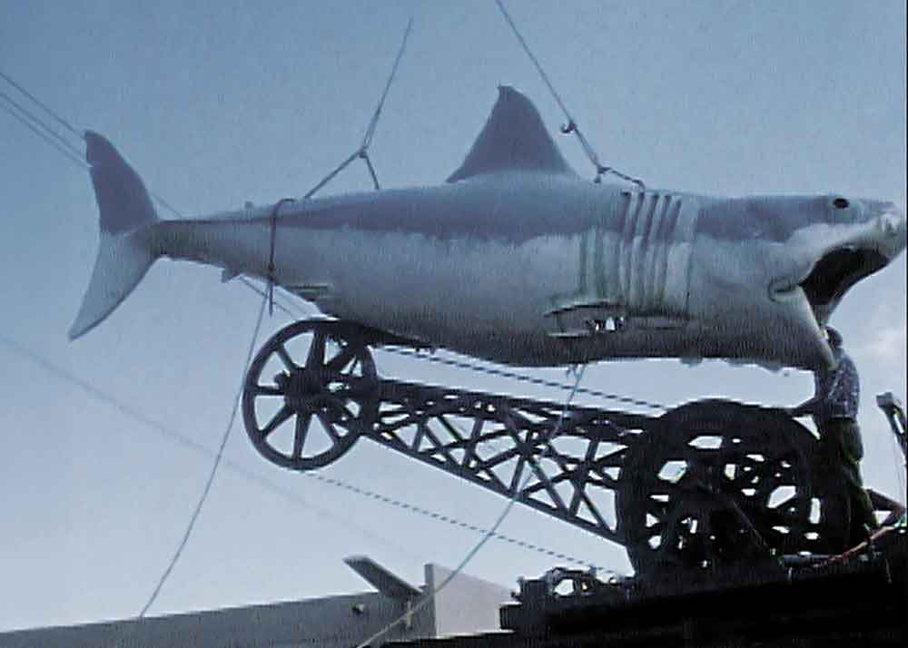 Jaws@50: The Definitive Inside Story on Disney+. Pictured: A mechanical shark that seldom functioned as intended created serious problems for plucky young director Steven Spielberg and his crew — but also led to some brilliant creative pivots that turned Jaws into an enduring masterpiece.